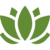 lotus lotus
